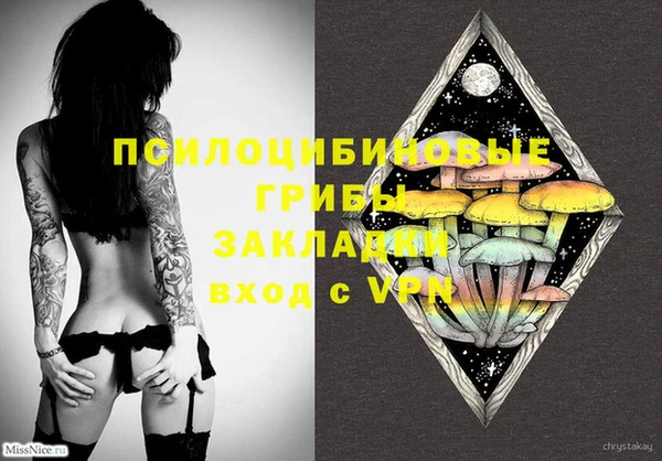 ECSTASY Волоколамск