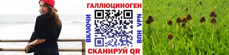 Псилоцибиновые грибы мухоморы  Купить закладки  Белёв 